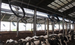   폭염 속 농장 누비는 수의사들 `더워도 가야죠`  