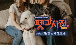   견주＆집사를 위한 라이브 펫상담소 `펫과사전` 23일 밤 11시 첫방송  
