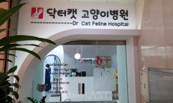 [전문진료 동물병원 인터뷰23] 고양이를 위한 닥터캣 고양이병원