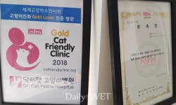 [전문진료 동물병원 인터뷰23] 고양이를 위한 닥터캣 고양이병원