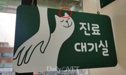 [전문진료 동물병원 인터뷰23] 고양이를 위한 닥터캣 고양이병원