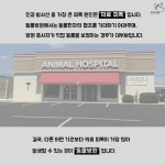   [카드뉴스] 의료피폭 취약지대 동물병원：프시케  