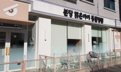 [전문진료 동물병원 인터뷰25] `안과 특화` 분당 밝은아이 동물병원