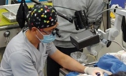   쓰리디메디비전，수의치과협회 오픈강좌에서 3D 영상 기술 지원한다  