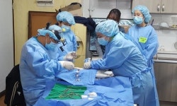   중랑구 길고양이를 위한 `군집 TNR` 의료봉사 열려  