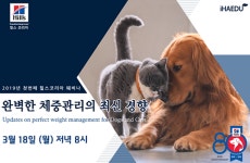   개·고양이 완벽한 체중관리 방법은？3월 18일 힐스웨비나  
