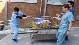   `한우 송아지도 서울대 동물병원 갑니다`   