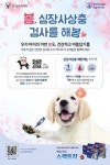 봄，심장사상충 검사를 해봄
