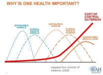   원헬스 실천？교육부터 시작해야  