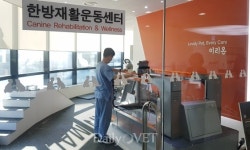   높아지는 동물재활 관심…늘어나는 동물 한방재활운동센터  