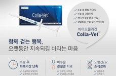   [신제품] 반려동물 비수술 치료·재생의학 위한 바이오콜라겐 `콜라벳`  