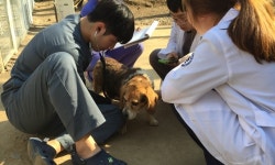   충남대 수의대 학생들의 특별한 비구협 봉사교육 활동  