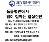   수원 스카이동물메디컬센터, 개원기념 영상의학세미나 5월 개최  