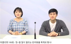   [위클리벳 199회] 계속 많아지는 반려동물 박람회·축제  