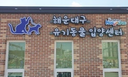   부산 해운대구，직영 `유기동물 입양센터` 준공  
