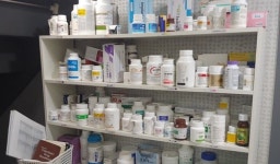 동물병원은 동물 치료에 필요한 약품을 제때 확보하기 어렵다