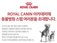   동물병원 스텝을 위한 로얄캐닌 스텝 아카데미，일산에서 열린다  