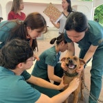   서울대학교 수의과대학 팔라스, 필리핀에서 동물의료봉사 펼쳐   