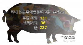   `아프리카돼지열병 예방` 남은음식물 급여 양돈농장 일제 단속  