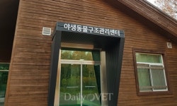   개소 500일 인천야생동물구조관리센터，총 523마리 구조  