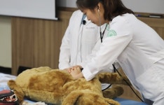 건국대 동물병원, 청진·CPR부터 외과 수술까지 모형으로 배운다