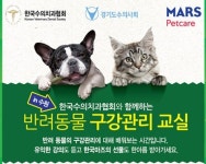 `수원 반려동물 보호자 모여라` 반려동물 구강관리 교실 11월 3일 개최