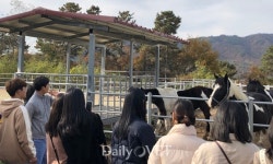 경상대 수의대，한국마사회 장수목장 체험 견학 다녀오다