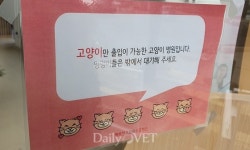 [전문진료 동물병원 인터뷰26] 고양이만 보는 `행복한 고양이동물병원`