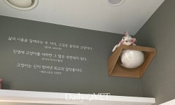 [전문진료 동물병원 인터뷰26] 고양이만 보는 `행복한 고양이동물병원`