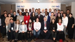 OIE 및 FAO 구제역 전문가들이 부산에 모였다