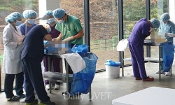 전북대 수의대 동물의료봉사팀 `애니벌룬`，군산에서 동물의료봉사