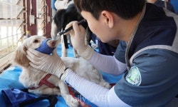 건국대 수의대 바이오필리아 제5기 라오스 동물의료 봉사활동기