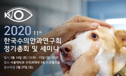 수의안과연구회, 3월 세미나 개최한다‥사람 안과 교수진 특강도