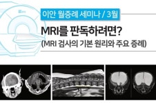 이안동물의학센터 `MRI 판독` 3월 증례 세미나 연다
