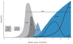 [기고] 반려동물 개별맞춤관리를 위한 항체검사 활용／네오딘바이오벳 학술부