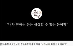 펫샵에서 사서 유기묘로 둔갑시킨 수의대생 인기 유튜브 채널