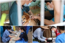 유기견 도움 손길 내민 경기도수의사회와 블루엔젤봉사단