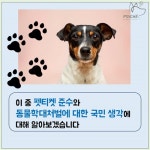 [카드뉴스] 펫티켓 준수와 동물학대에 대한 국민생각：프시케