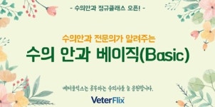 수의안과전문의가 알려주는 수의안과 베이직 `상` 종료，곧 `하` 시작