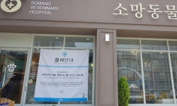 옥서스，`반려동물 편하게 숨쉬기 프로젝트` 위해 동물병원 특별 지원