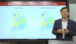 `반려견 SFTS 환자는 대도시에 있다` 동물병원 수의사 먼저 유의해야