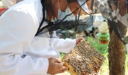 [인터뷰] `꿀벌도 수의사가 치료합니다` 정년기·허주행 수의사