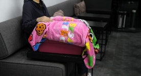 고양이의 동물병원 내원 스트레스 줄여주는 5대 행동수칙은