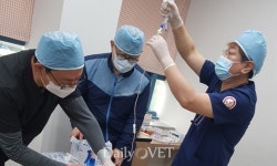 `아름다운 동행 따뜻한 공존` 대구시수의사회＆동고행 군집 TNR봉사