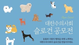 [공모전] 동물과 사람을 위해 노력하는 수의사 슬로건을 만들어주세요