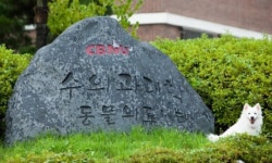 충북대 수의대, 2021년도 수의방역대학원 석사과정 신입생 모집