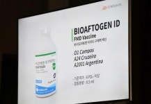 `이상육 문제 해결될까` 국내 첫 피내접종용 구제역백신 출시