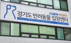 수원 도심지에 생긴 유기동물 입양시설 `눈길`