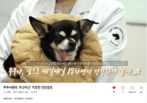 두근두근 하트체크 캠페인, 반려동물 무증상 심장병 인지도 높여