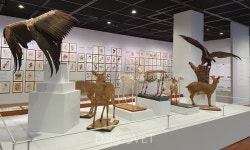 [포토뉴스] 수의해부학연구실 표본 보실래요？`지식의 수집과 박물관`